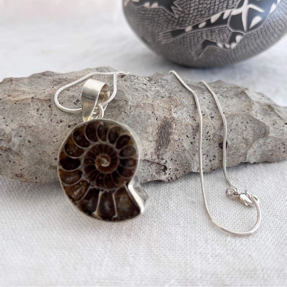 Fossil Ammonite Pendant with Silver Chain